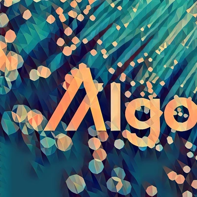 ALGO Street Credit: Do Algorand founders criticize Solana?