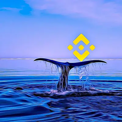 What do Bitcoin and Binance whales have in common?