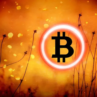 Bitcoin will benefit if SEC moves to crypto asset management – US senator Cynthia Lummis