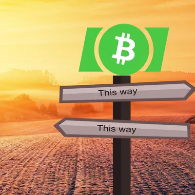 Bitcoin Cash: What should you do with your BCH?