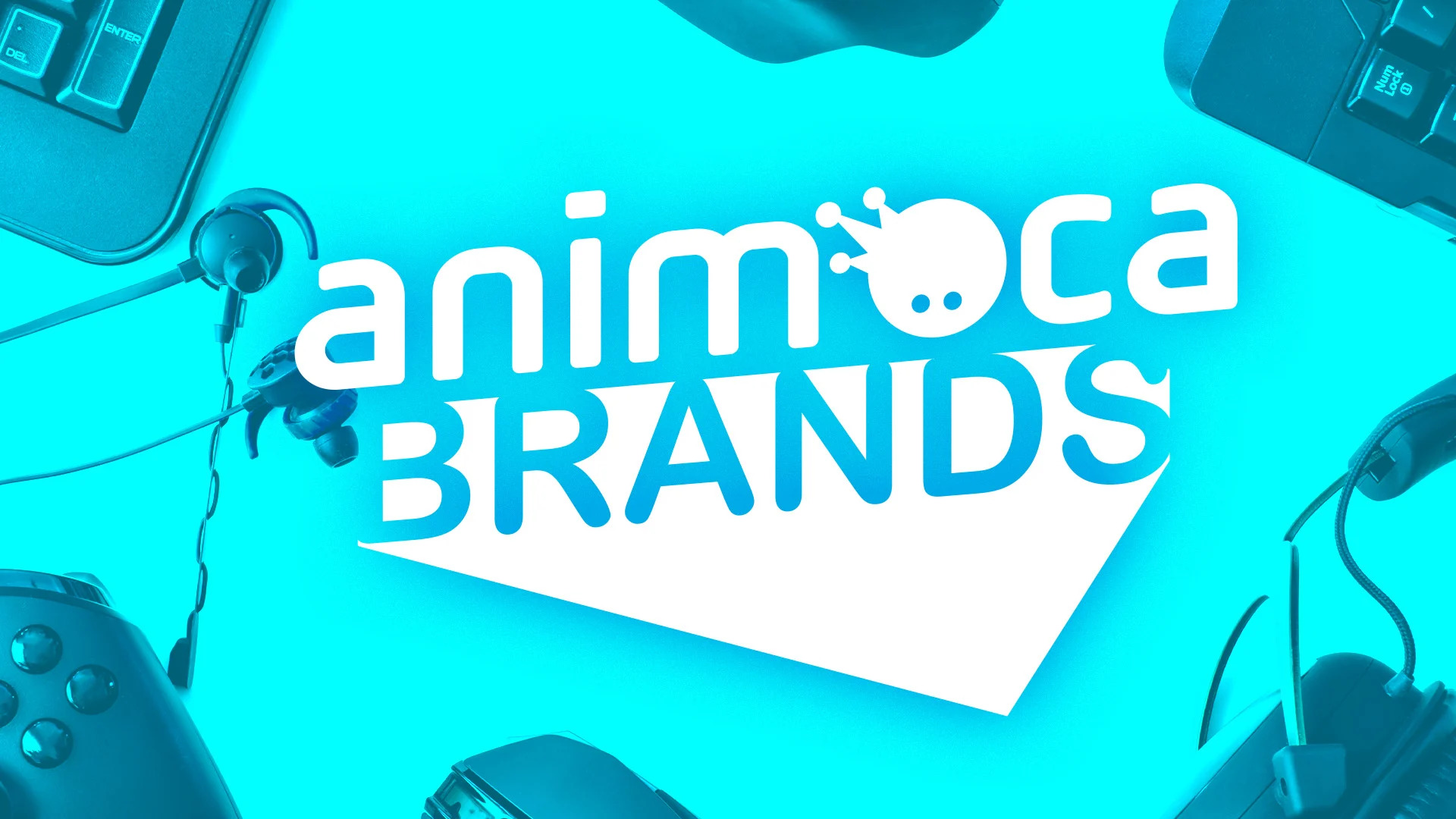 Animoca Brands Japan raised $45 million, valued at $500 million before the round