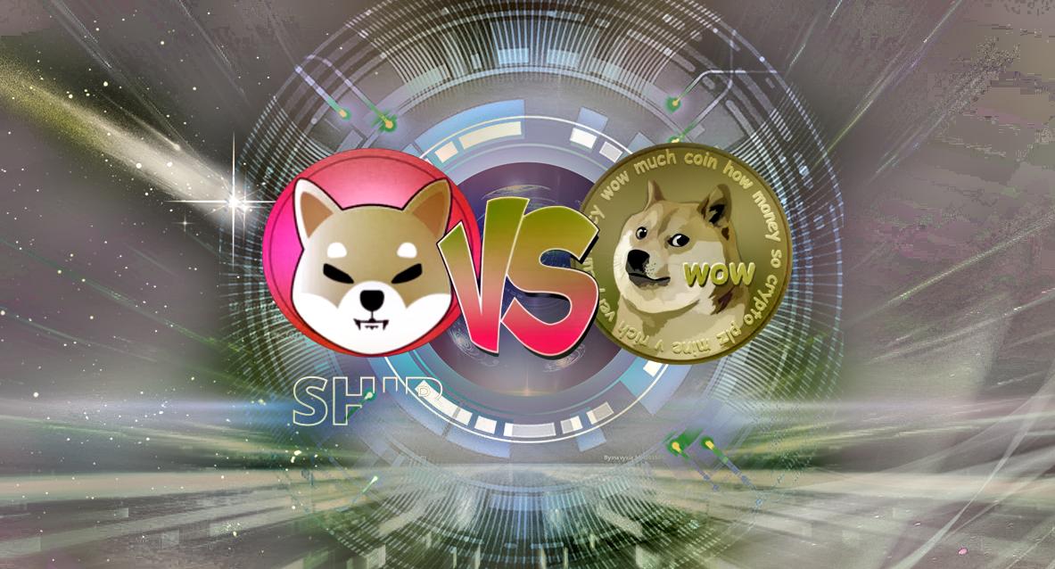 Shiba Inu vs. Dogecoin: Battle of meme coins won by… - Fox Crypto News