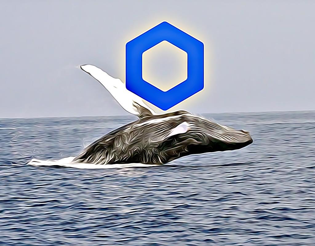 Chainlink: This is where the whales can do the next LINK
